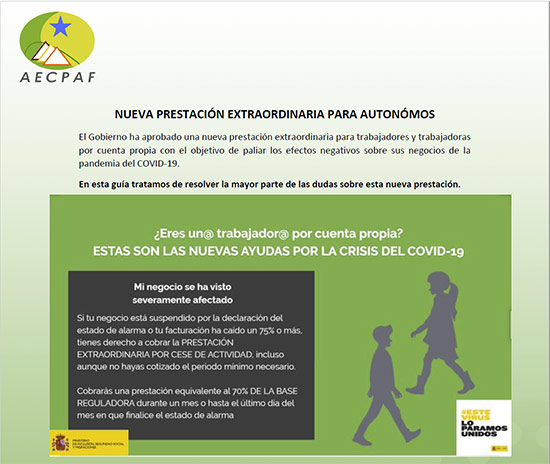 ayudas autonomos web