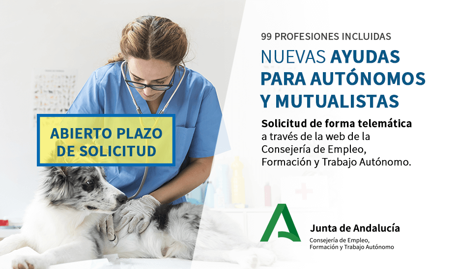 plazo abierto ayudas autonomos 0